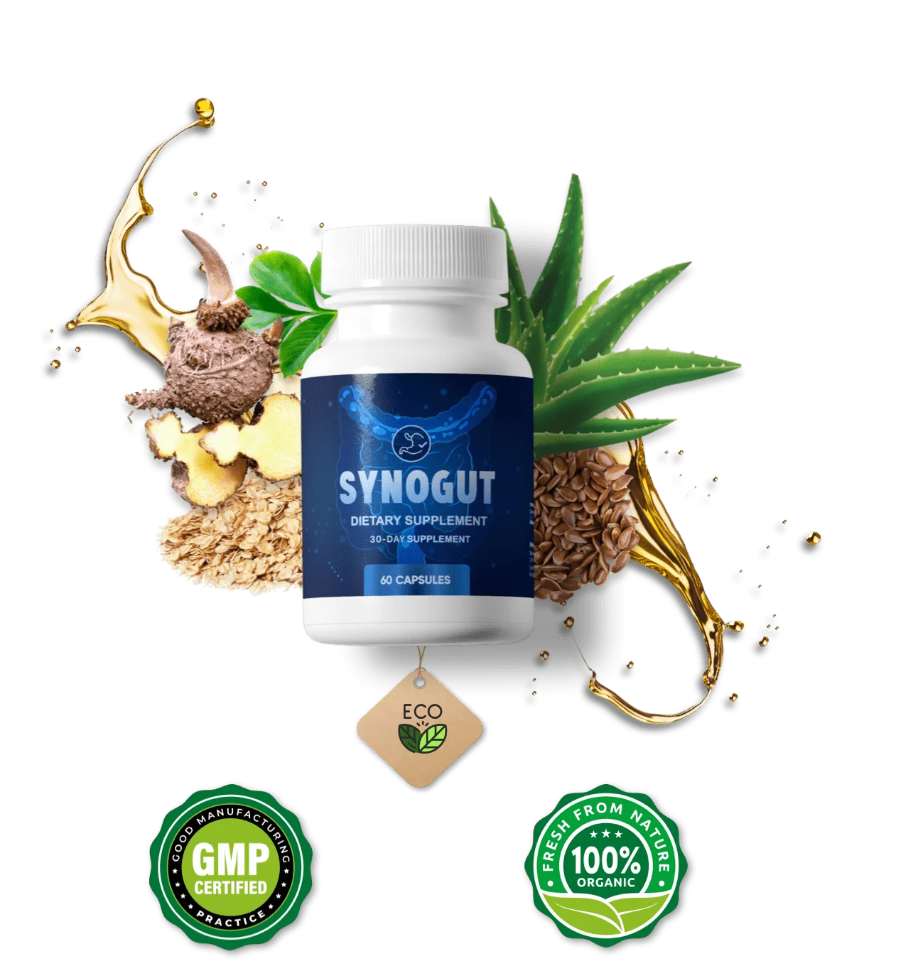 SynoGut Official Product